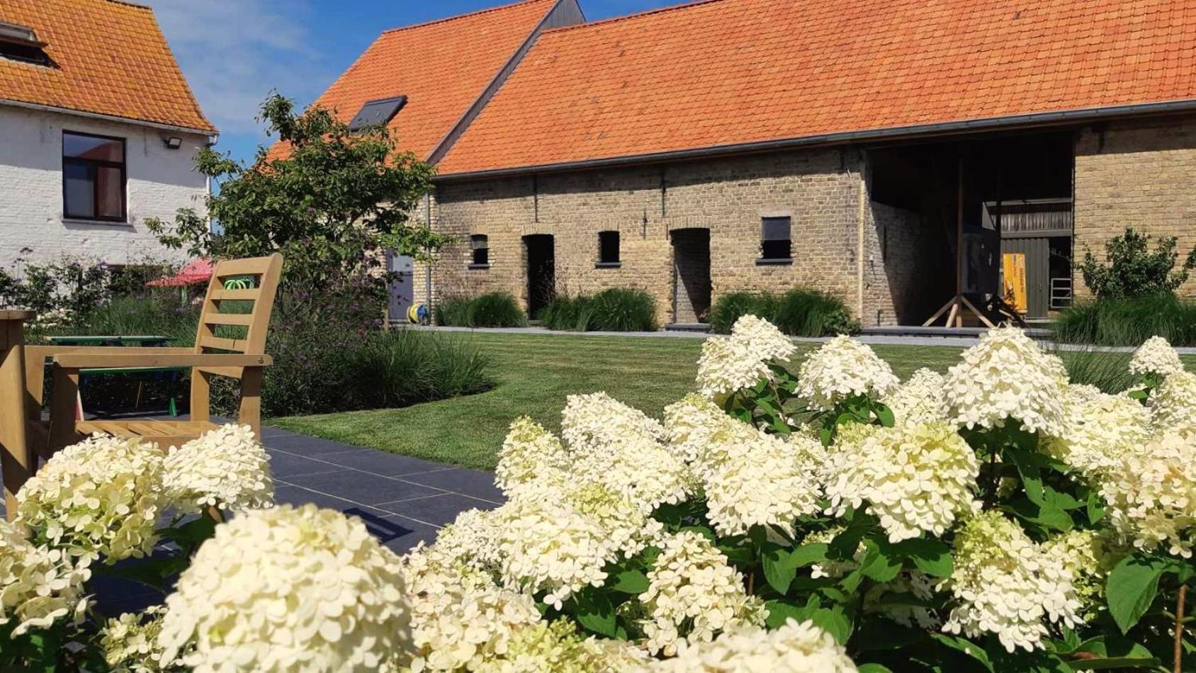 Bibi'S Boerderij Bed & Breakfast Veurne Ngoại thất bức ảnh